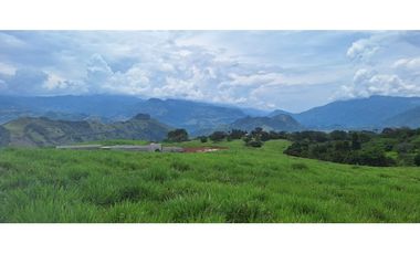 VENTA LOTE TARSO SUROESTE ANTIOQUEÑO U C
