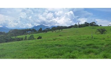VENTA LOTE TARSO SUROESTE ANTIOQUEÑO U C