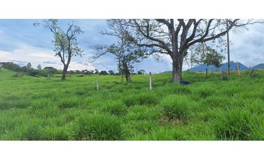 VENTA LOTE TARSO SUROESTE ANTIOQUEÑO U C