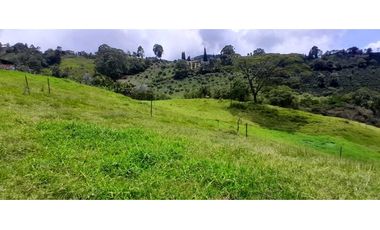 VENTA DE FINCA FREDONIA,SUROESTE ANTIOQUEÑO.