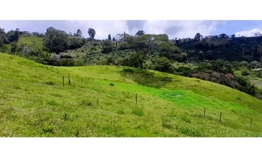 VENTA DE FINCA FREDONIA,SUROESTE ANTIOQUEÑO.