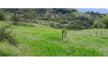 VENTA DE FINCA FREDONIA,SUROESTE ANTIOQUEÑO.