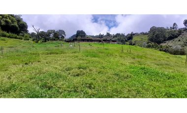 VENTA DE FINCA FREDONIA,SUROESTE ANTIOQUEÑO.