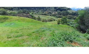 VENTA DE FINCA FREDONIA,SUROESTE ANTIOQUEÑO.