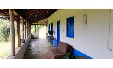 VENTA DE FINCA FREDONIA,SUROESTE ANTIOQUEÑO.