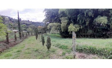 VENTA DE FINCA FREDONIA,SUROESTE ANTIOQUEÑO.