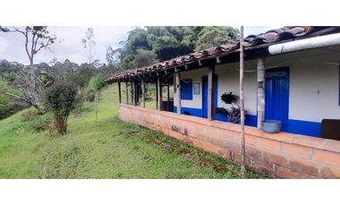 VENTA DE FINCA FREDONIA,SUROESTE ANTIOQUEÑO.