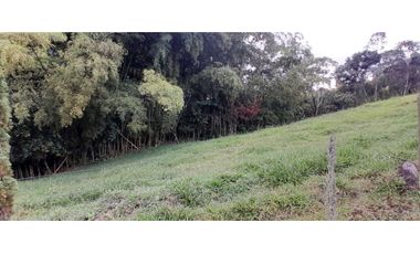 VENTA DE FINCA FREDONIA,SUROESTE ANTIOQUEÑO.