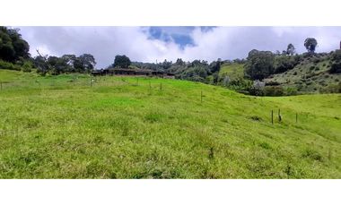 VENTA DE FINCA FREDONIA,SUROESTE ANTIOQUEÑO.