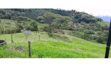 VENTA DE FINCA FREDONIA,SUROESTE ANTIOQUEÑO.