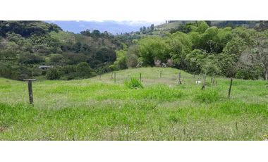 VENTA DE FINCA FREDONIA,SUROESTE ANTIOQUEÑO.