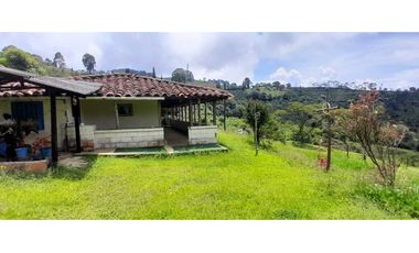 VENTA DE FINCA FREDONIA,SUROESTE ANTIOQUEÑO.