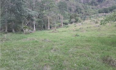 VENTA DE LOTE FREDONIA,SUROESTEANTIOQUEÑO.