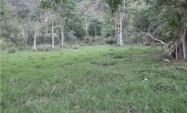 VENTA DE LOTE FREDONIA,SUROESTEANTIOQUEÑO.