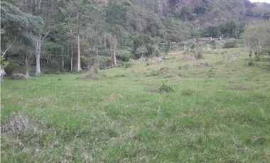 VENTA DE LOTE FREDONIA,SUROESTEANTIOQUEÑO.