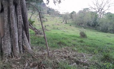 VENTA DE LOTE FREDONIA,SUROESTEANTIOQUEÑO.