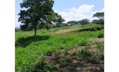 VENTA DE LOTE LA PINTADA, SUROESTE ANTIOQUEÑO.