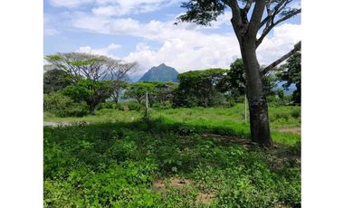 VENTA DE LOTE LA PINTADA, SUROESTE ANTIOQUEÑO.