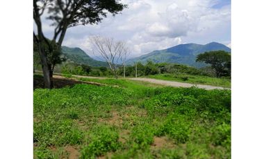 VENTA DE LOTE LA PINTADA, SUROESTE ANTIOQUEÑO.