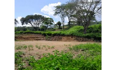 VENTA DE LOTE LA PINTADA, SUROESTE ANTIOQUEÑO.