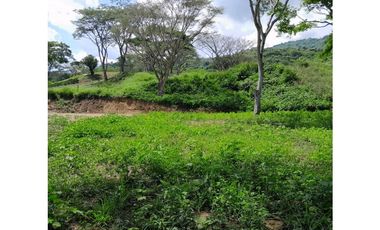 VENTA DE LOTE LA PINTADA, SUROESTE ANTIOQUEÑO.