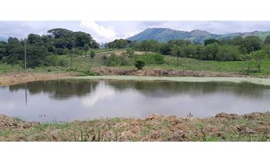 VENTA LOTE LA PINTADA, SUROESTE ANTIOQUEÑO