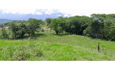 VENTA LOTE LA PINTADA, SUROESTE ANTIOQUEÑO