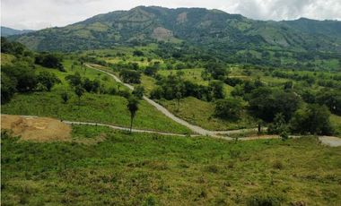 VENTA LOTE LA PINTADA, SUROESTE ANTIOQUEÑO