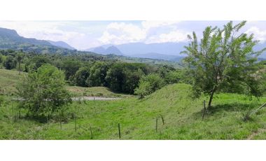 VENTA LOTE LA PINTADA, SUROESTE ANTIOQUEÑO