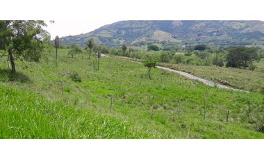 VENTA LOTE LA PINTADA, SUROESTE ANTIOQUEÑO