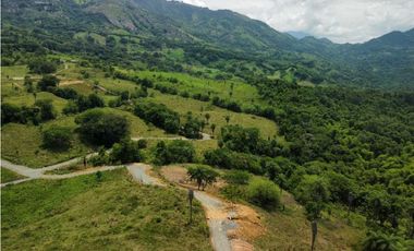 VENTA LOTE LA PINTADA, SUROESTE ANTIOQUEÑO
