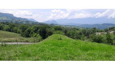 VENTA LOTE LA PINTADA, SUROESTE ANTIOQUEÑO