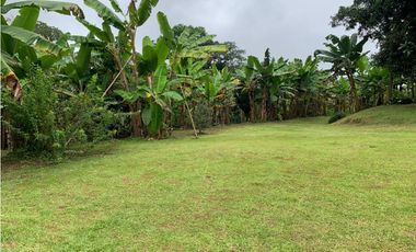 VENTA FINCA TMESIS, SUROESTE ANTIOQUEÑO