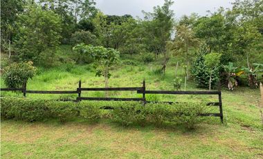 VENTA FINCA TMESIS, SUROESTE ANTIOQUEÑO