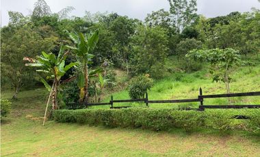 VENTA FINCA TMESIS, SUROESTE ANTIOQUEÑO