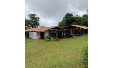 VENTA FINCA TMESIS, SUROESTE ANTIOQUEÑO