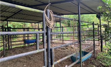 VENTA FINCA TMESIS, SUROESTE ANTIOQUEÑO