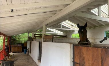 VENTA FINCA TMESIS, SUROESTE ANTIOQUEÑO