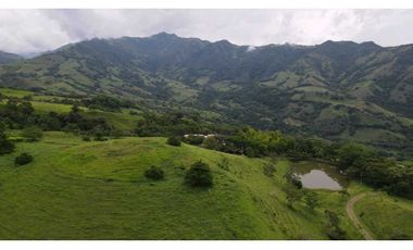 VENTA DE LOTE EN TARSO SUROESTE DE ANTIOQUIA U Cerrada
