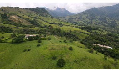 VENTA DE LOTE EN TARSO SUROESTE DE ANTIOQUIA U Cerrada