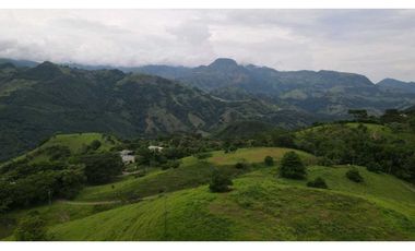 VENTA DE LOTE EN TARSO SUROESTE DE ANTIOQUIA U Cerrada