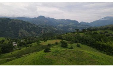 VENTA DE LOTE EN TARSO SUROESTE DE ANTIOQUIA U Cerrada