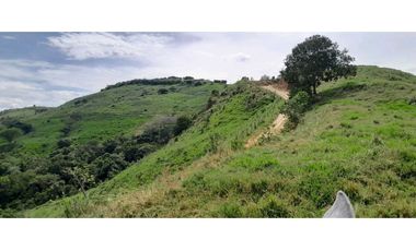 VENTA DE FINCA SANTA BARBARA, SUROESTE ANTIOQUEÑO