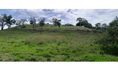 VENTA DE FINCA SANTA BARBARA, SUROESTE ANTIOQUEÑO