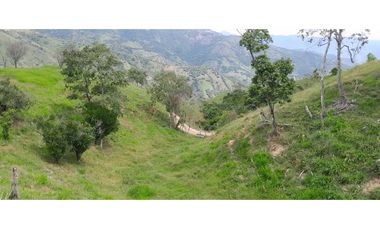 VENTA DE FINCA SANTA BARBARA, SUROESTE ANTIOQUEÑO