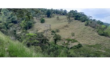 VENTA DE FINCA SANTA BARBARA, SUROESTE ANTIOQUEÑO