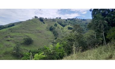 VENTA DE FINCA SANTA BARBARA, SUROESTE ANTIOQUEÑO