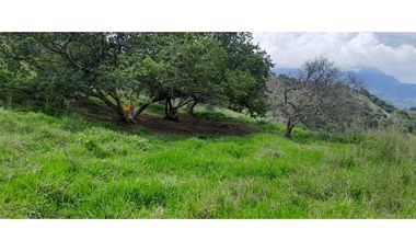 VENTA DE FINCA SANTA BARBARA, SUROESTE ANTIOQUEÑO