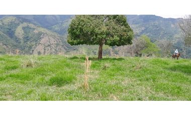 VENTA DE FINCA SANTA BARBARA, SUROESTE ANTIOQUEÑO