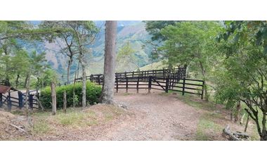 VENTA DE FINCA SANTA BARBARA, SUROESTE ANTIOQUEÑO